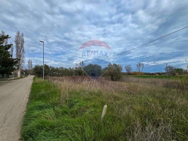 terreno agricolo in vendita a Cappelle sul Tavo