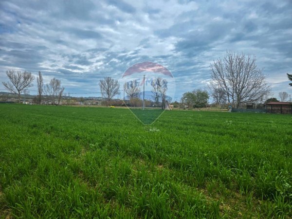 negozio in vendita a Cappelle sul Tavo
