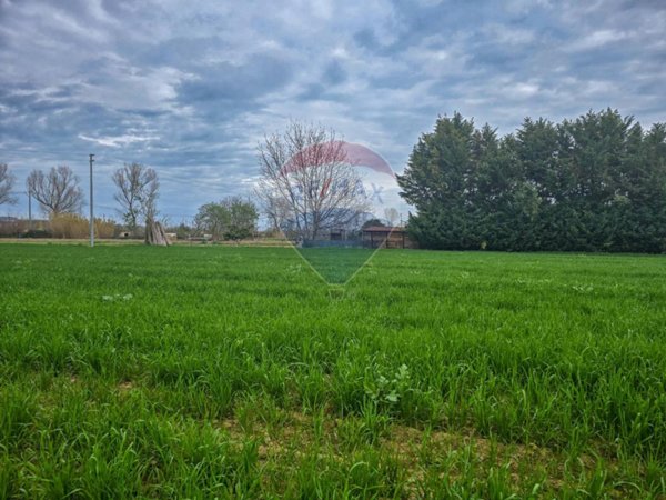 negozio in vendita a Cappelle sul Tavo