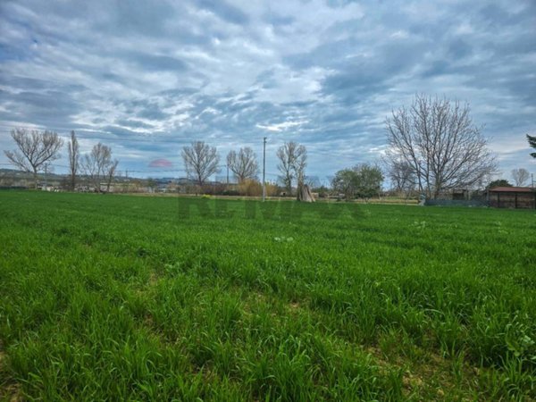 negozio in vendita a Cappelle sul Tavo