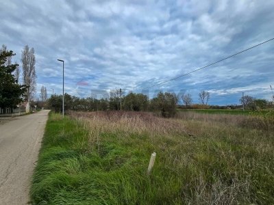 negozio in vendita a Cappelle sul Tavo