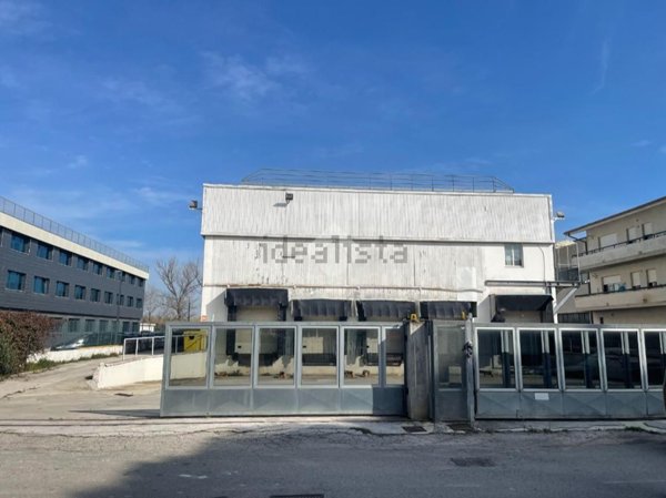 capannone in vendita a Cappelle sul Tavo