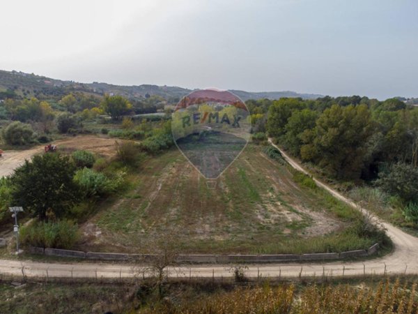 terreno agricolo in vendita a Cappelle sul Tavo