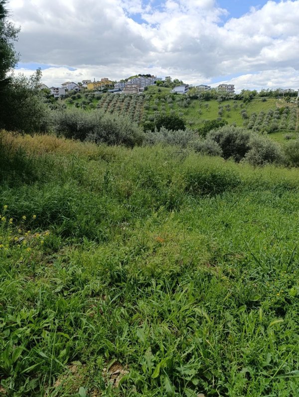 terreno edificabile in vendita a Cappelle sul Tavo