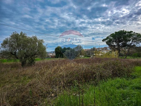 appartamento in vendita a Cappelle sul Tavo