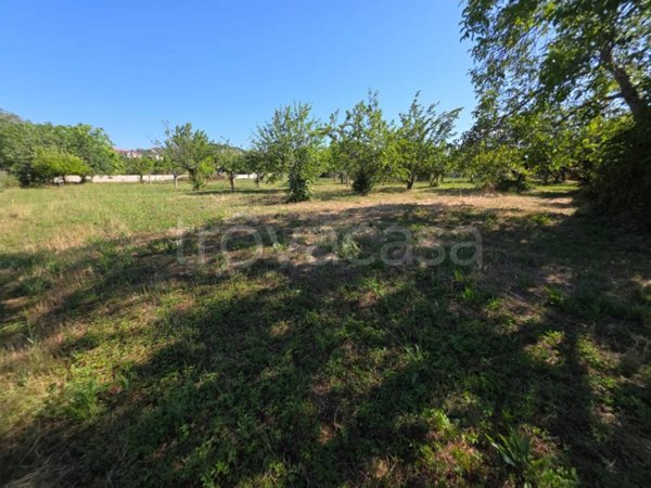 terreno agricolo in vendita a Cappelle sul Tavo