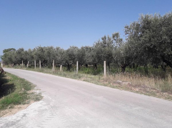 terreno edificabile in vendita a Cepagatti