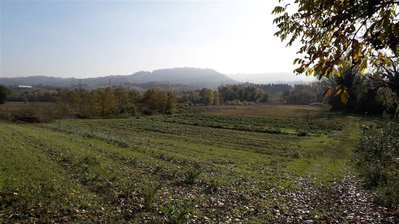 terreno edificabile in vendita a Cepagatti in zona Buccieri