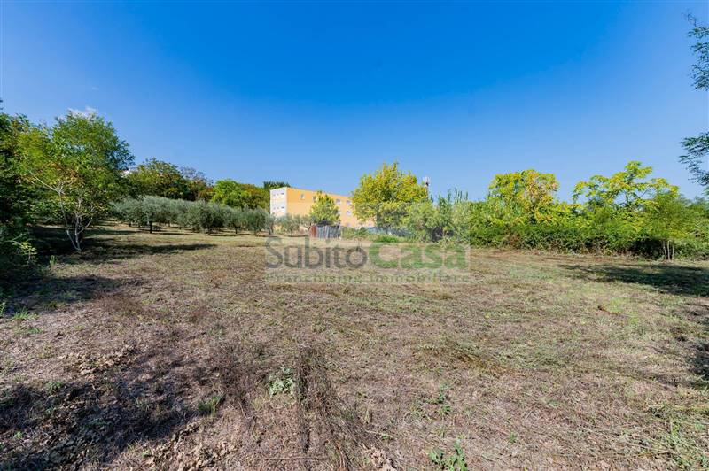 terreno agricolo in vendita a Cepagatti