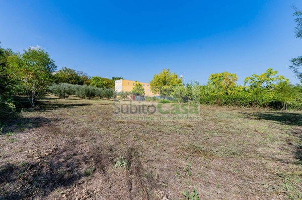 terreno agricolo in vendita a Cepagatti in zona Villanova