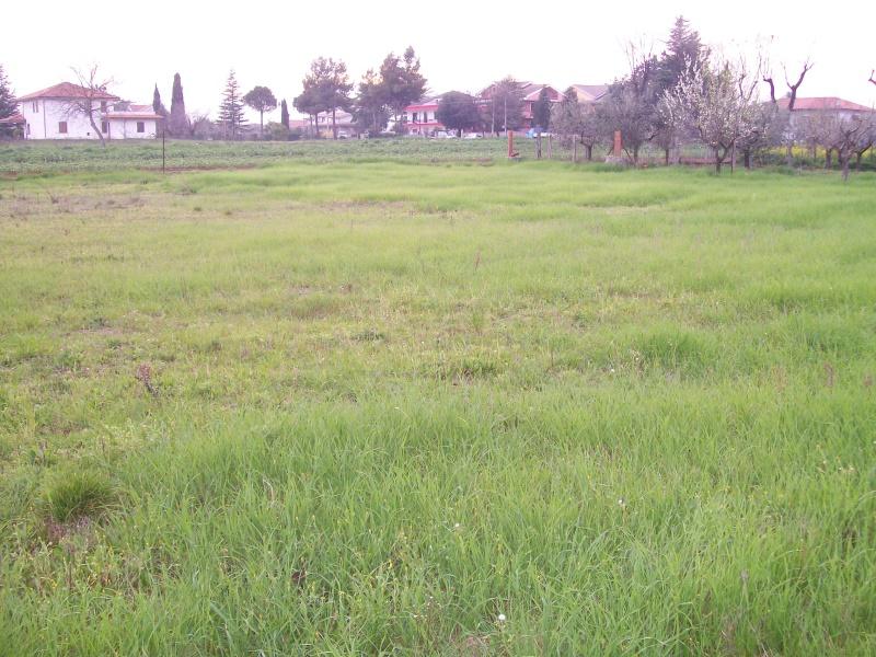 loft in affitto a Cepagatti