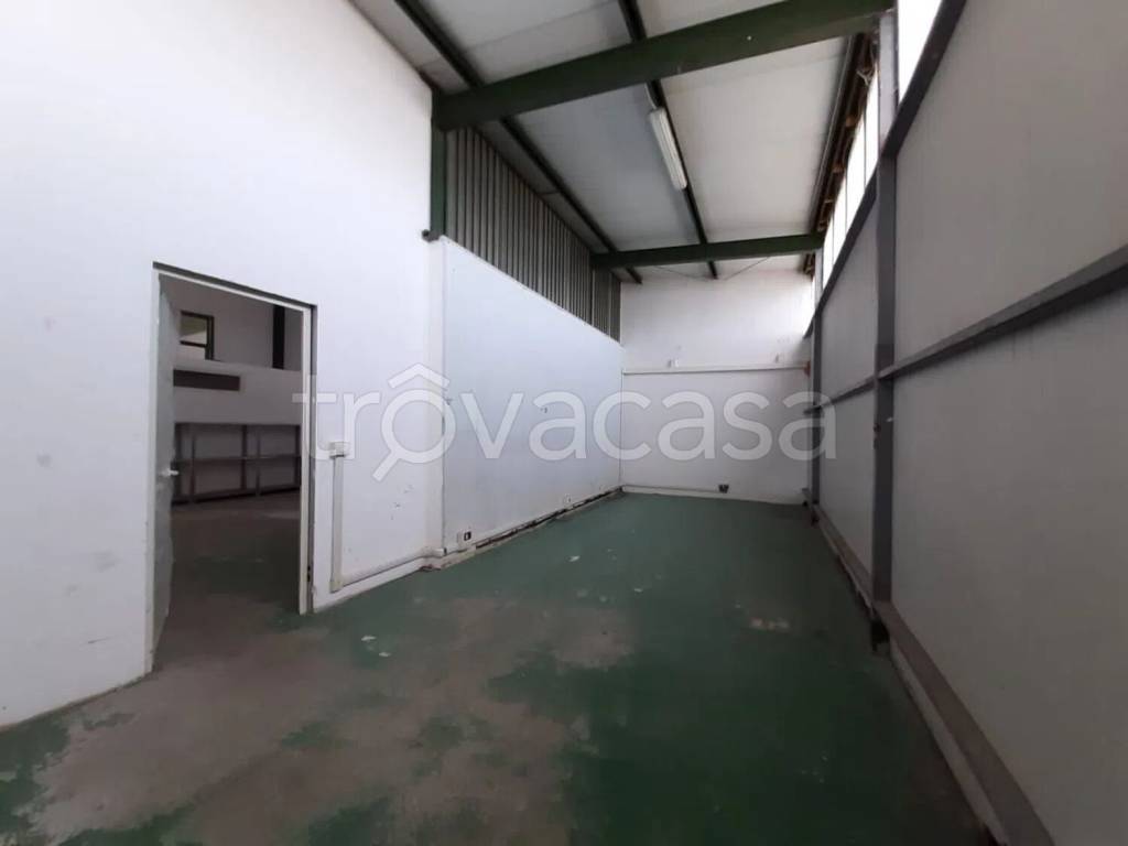 appartamento in vendita a Cepagatti in zona Villanova