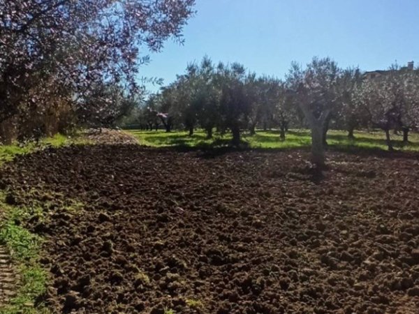 terreno edificabile in vendita a Cepagatti in zona Faciolo