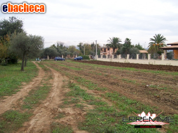 terreno edificabile in vendita a Cepagatti in zona Tre Croci