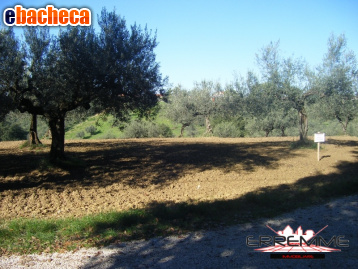 terreno edificabile in vendita a Cepagatti