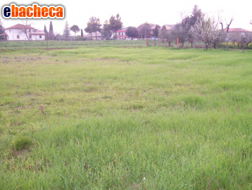 terreno edificabile in vendita a Cepagatti in zona Sant'Agata
