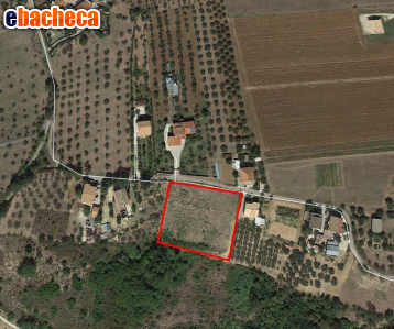 terreno edificabile in vendita a Cepagatti in zona Tre Croci