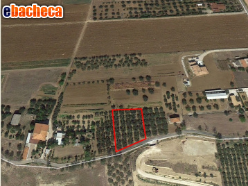 terreno edificabile in vendita a Cepagatti in zona Tre Croci