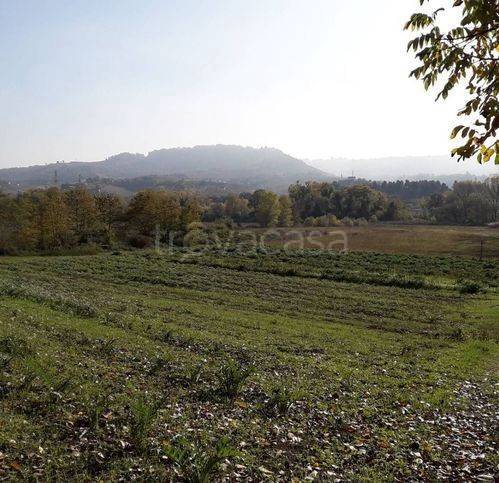 terreno edificabile in vendita a Cepagatti in zona Villanova