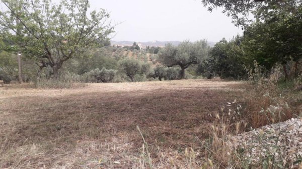 terreno edificabile in vendita a Cepagatti