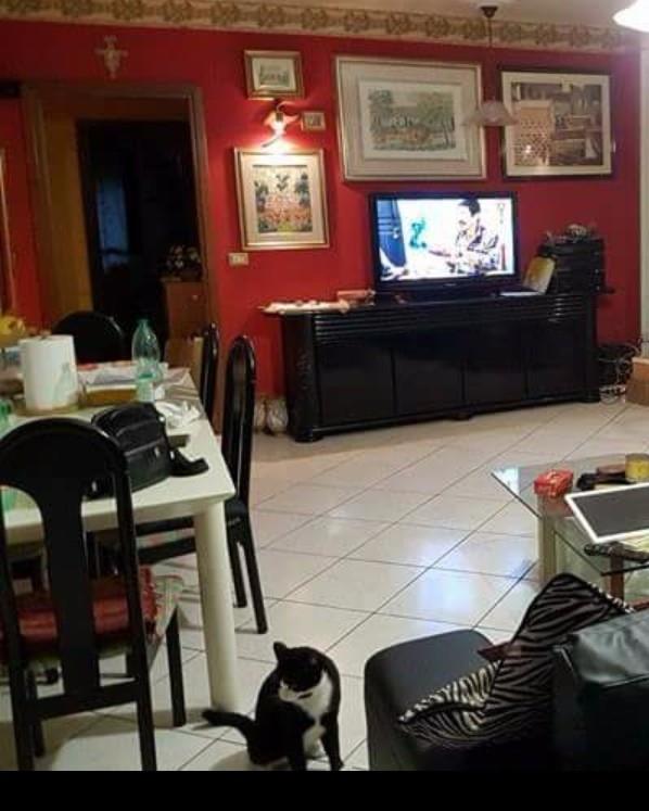 appartamento in vendita a Cepagatti in zona Villanova