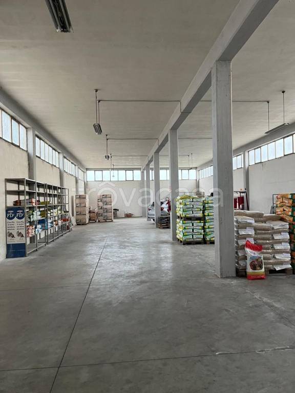 locale commerciale in vendita a Cepagatti in zona Villanova