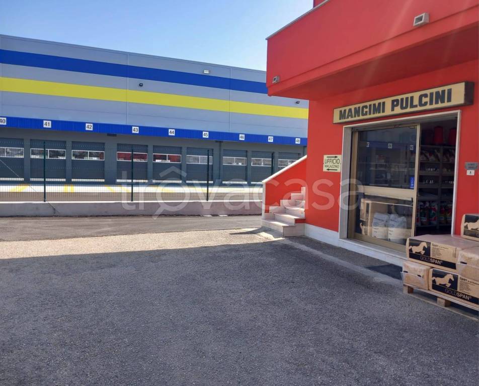 locale commerciale in vendita a Cepagatti in zona Villanova