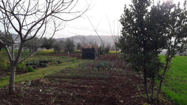terreno edificabile in vendita a Cepagatti