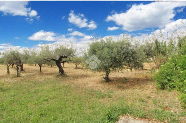 terreno edificabile in vendita a Cepagatti in zona Rapattoni Vecchio