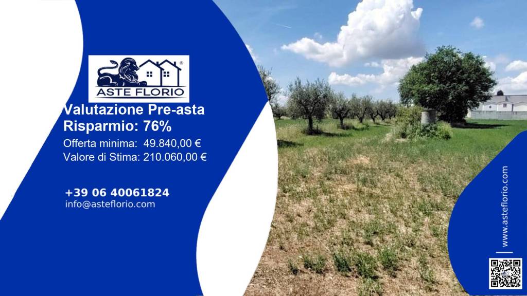 terreno agricolo in vendita a Cepagatti in zona Villanova