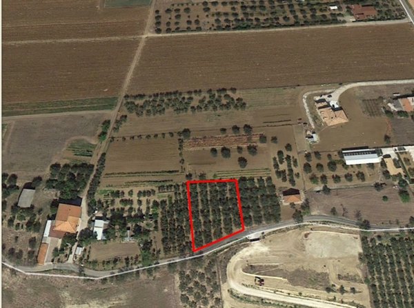 terreno edificabile in vendita a Cepagatti in zona Tre Croci