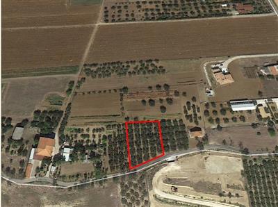 terreno edificabile in vendita a Cepagatti in zona Tre Croci