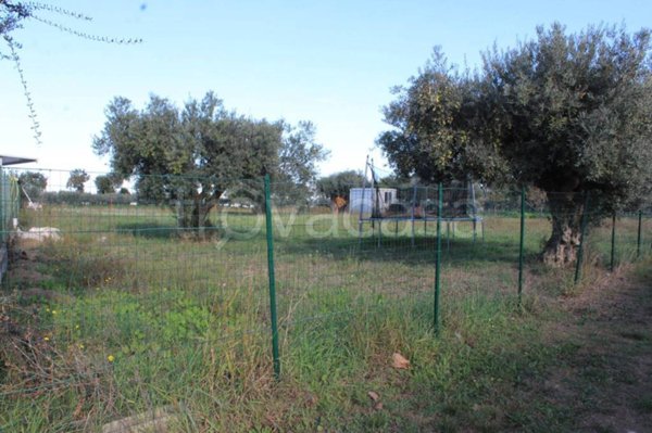 terreno edificabile in vendita a Cepagatti in zona Vallemare