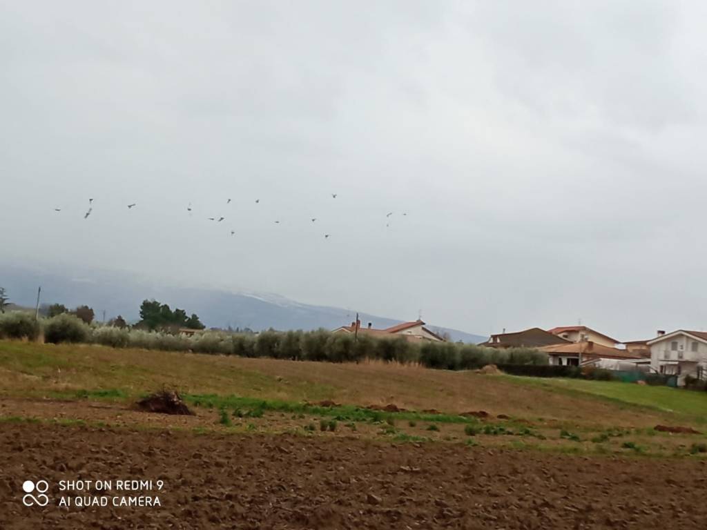 terreno edificabile in vendita a Cepagatti in zona Villareia
