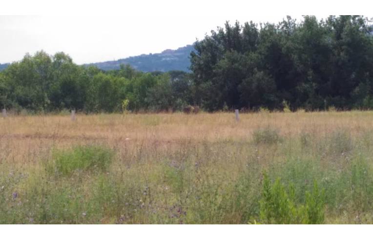 casa indipendente in vendita a Cepagatti