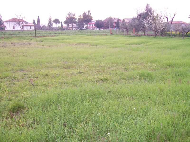 terreno edificabile in vendita a Cepagatti in zona Sant'Agata