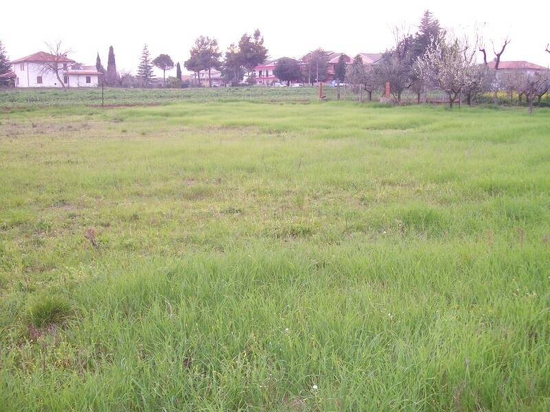 terreno edificabile in vendita a Cepagatti in zona Sant'Agata