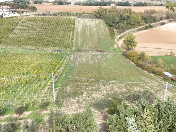 terreno agricolo in vendita a Cepagatti in zona Villanova
