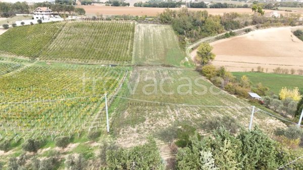 terreno agricolo in vendita a Cepagatti in zona Villanova