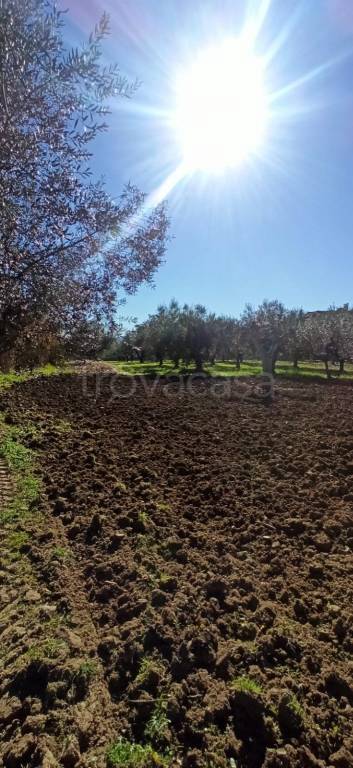 terreno edificabile in vendita a Cepagatti in zona Faciolo