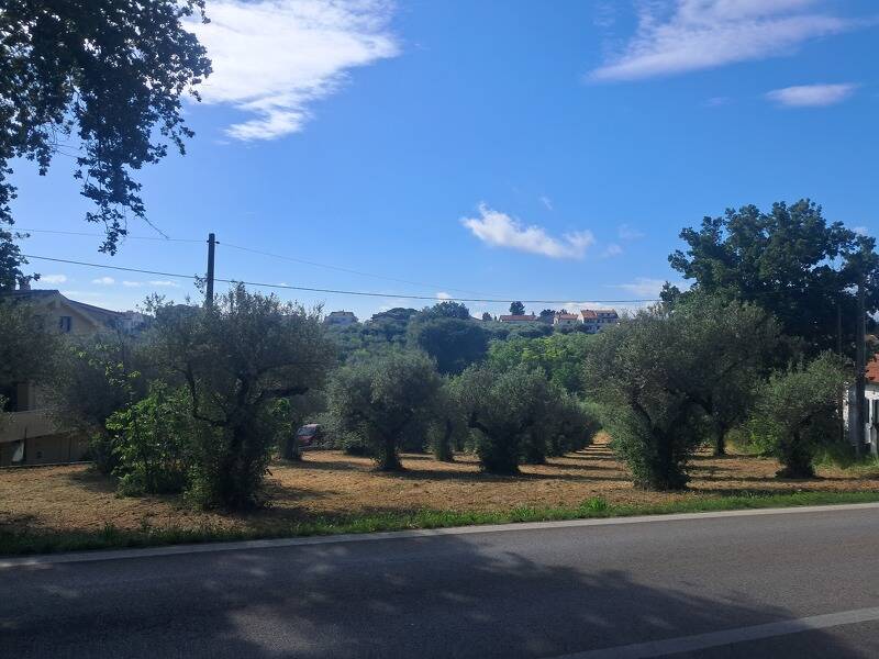 terreno edificabile in vendita a Cepagatti