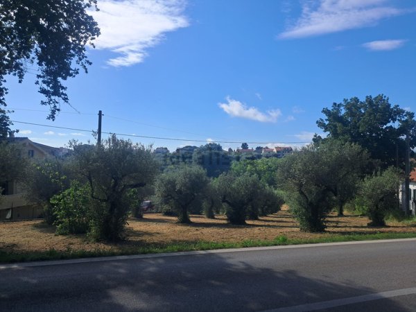 terreno edificabile in vendita a Cepagatti