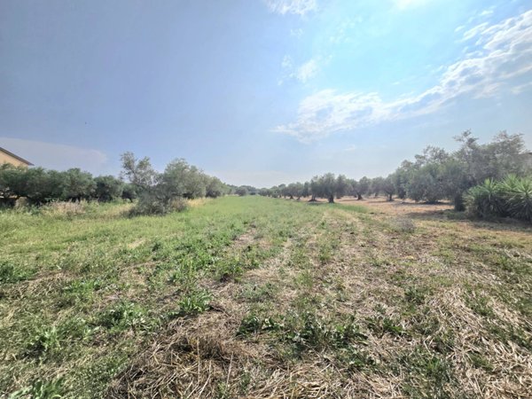 terreno edificabile in vendita a Cepagatti