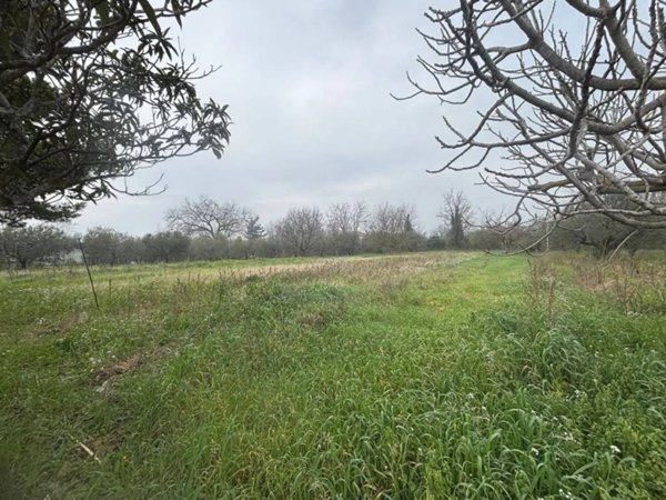 terreno agricolo in vendita a Cepagatti