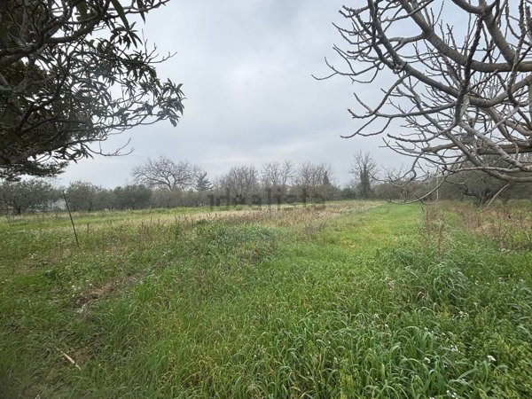 terreno edificabile in vendita a Cepagatti