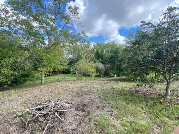terreno agricolo in vendita a Cepagatti in zona Villanova