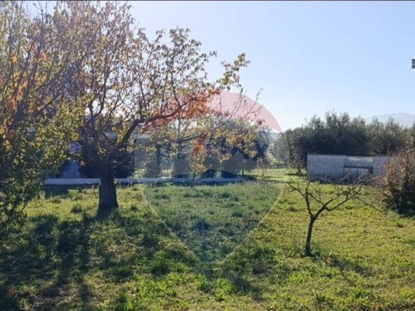 terreno agricolo in vendita a Cepagatti