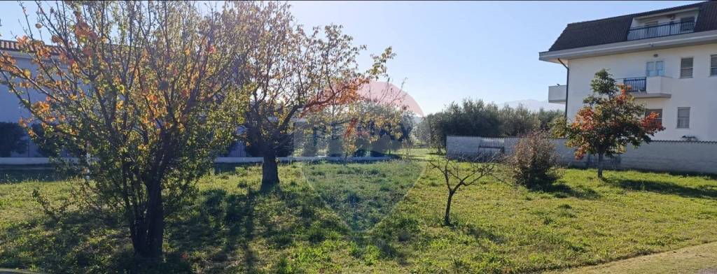 terreno agricolo in vendita a Cepagatti