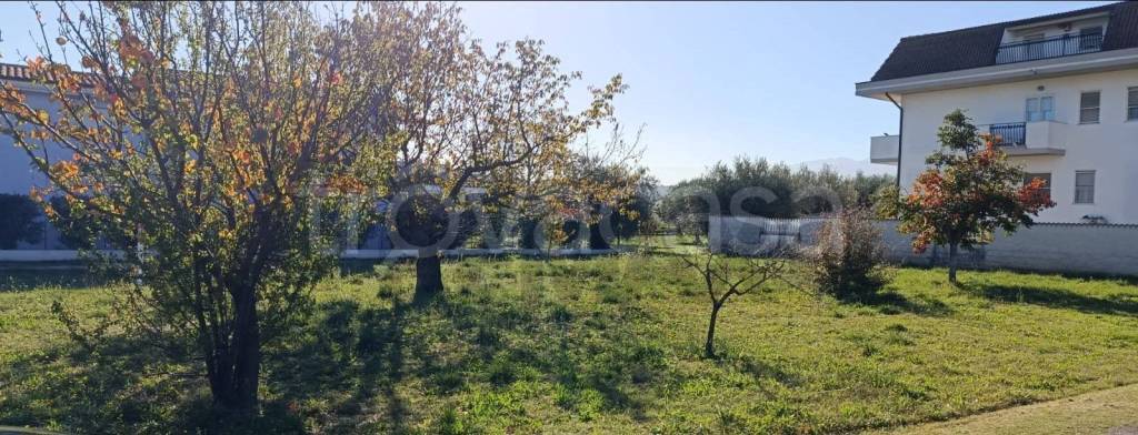 terreno edificabile in vendita a Cepagatti