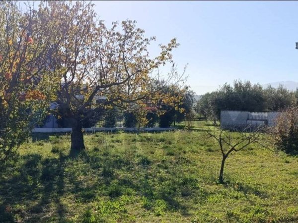 terreno edificabile in vendita a Cepagatti in zona Rapattoni Vecchio